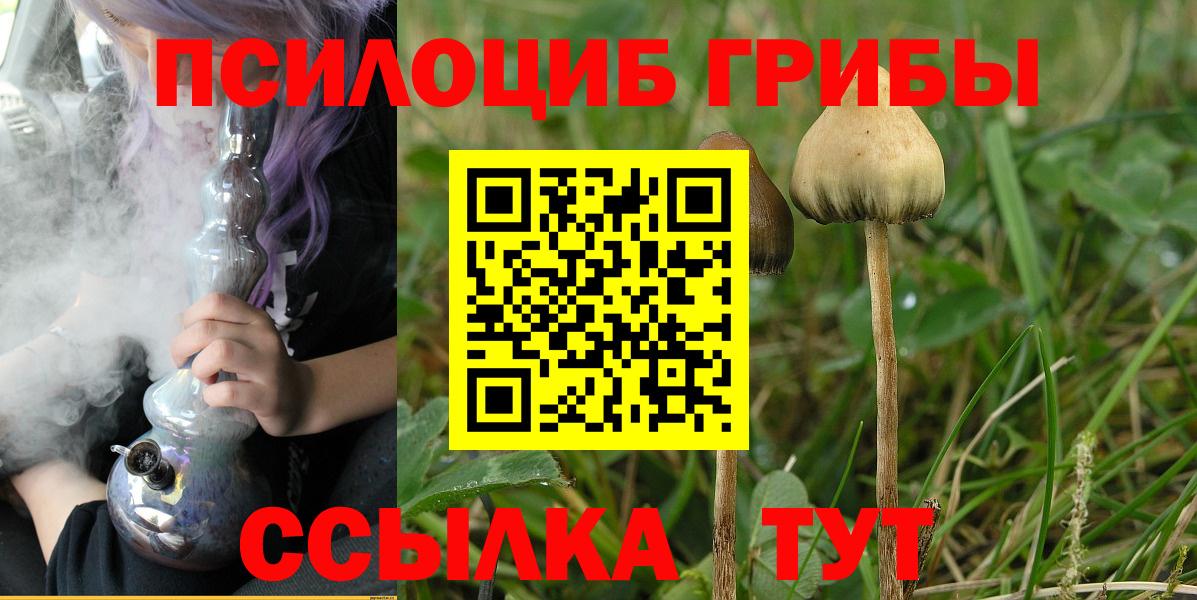 Великий Новгород  Галлюциногенные грибы Magic Shrooms  Вход с VPN  Галлюциногенные грибы Psilocybine cubensis 